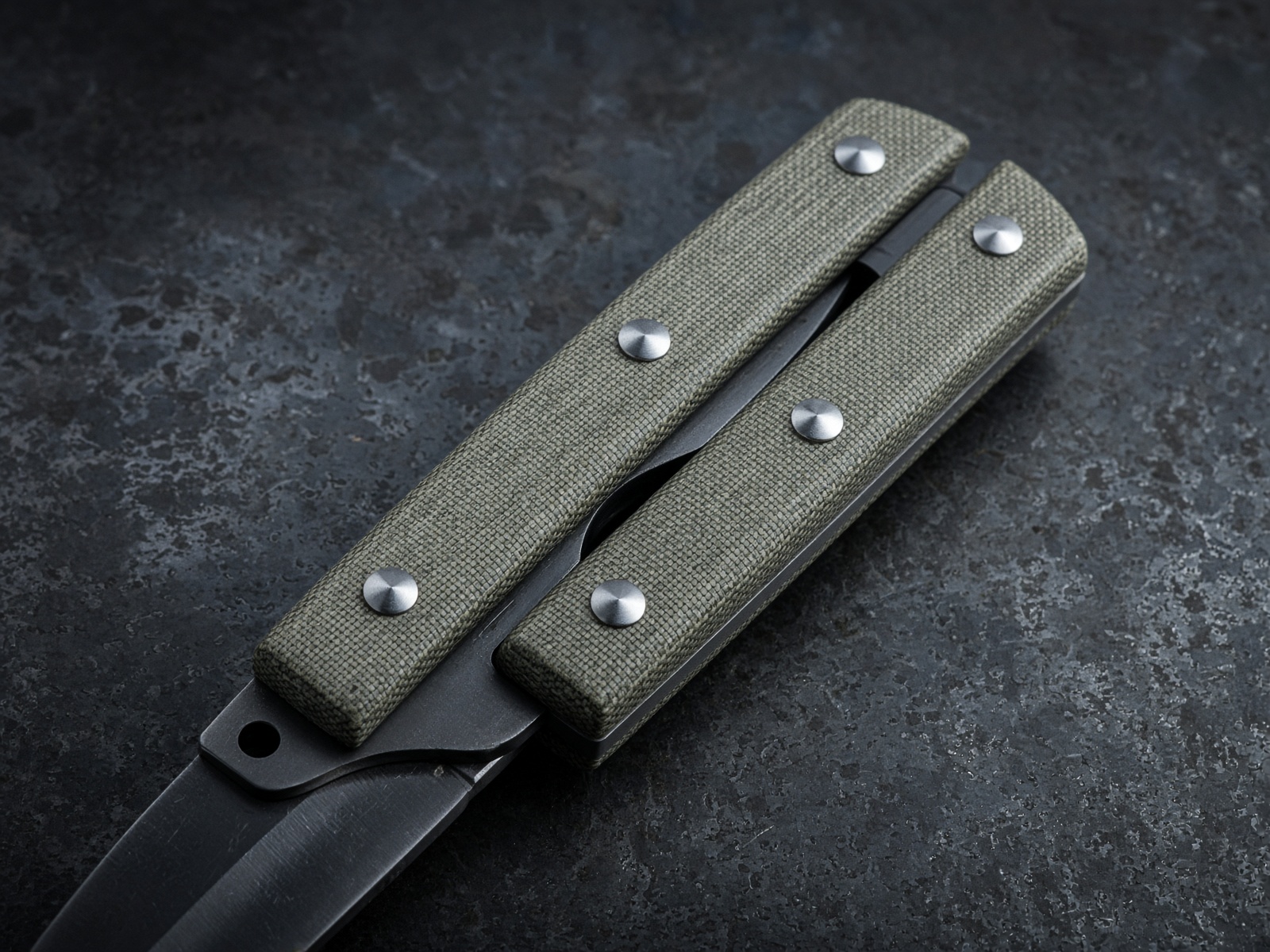 Scales on the tang